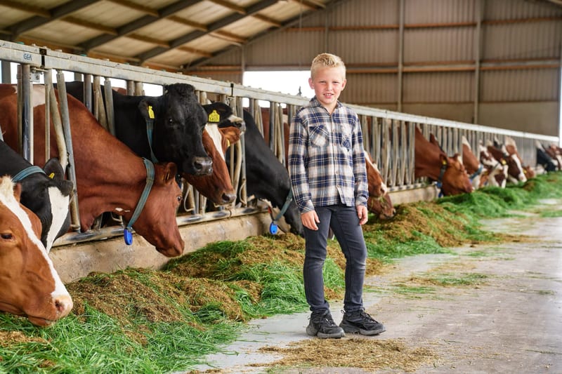 Jongen poseert tussen koeien in boerenschuur, kinderfotoshoot op boerderij Zoetermeer — Familieshoot Stefan Segers