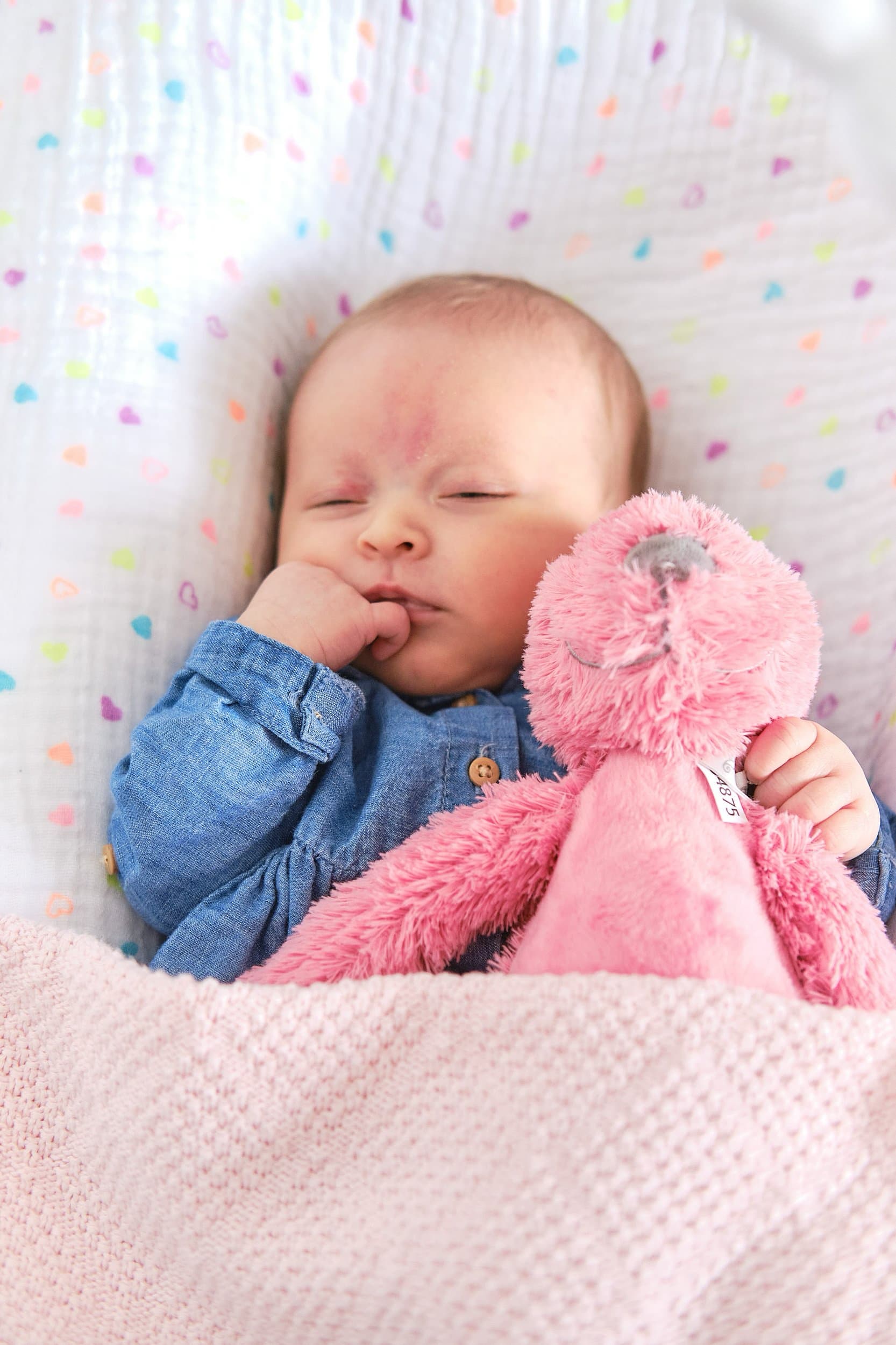 familieshoot-newborn-069.jpg