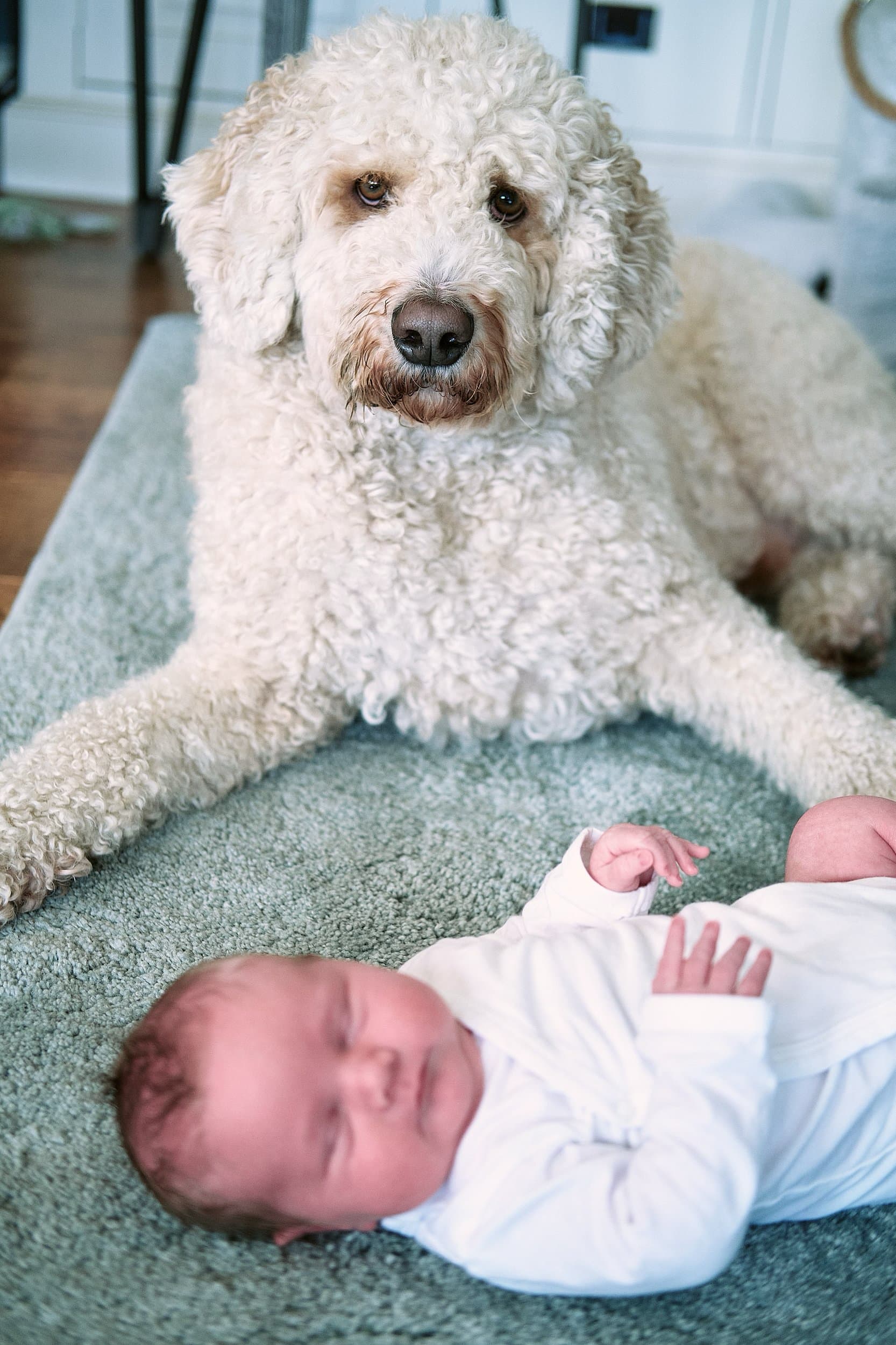 familieshoot-newborn-085.jpg