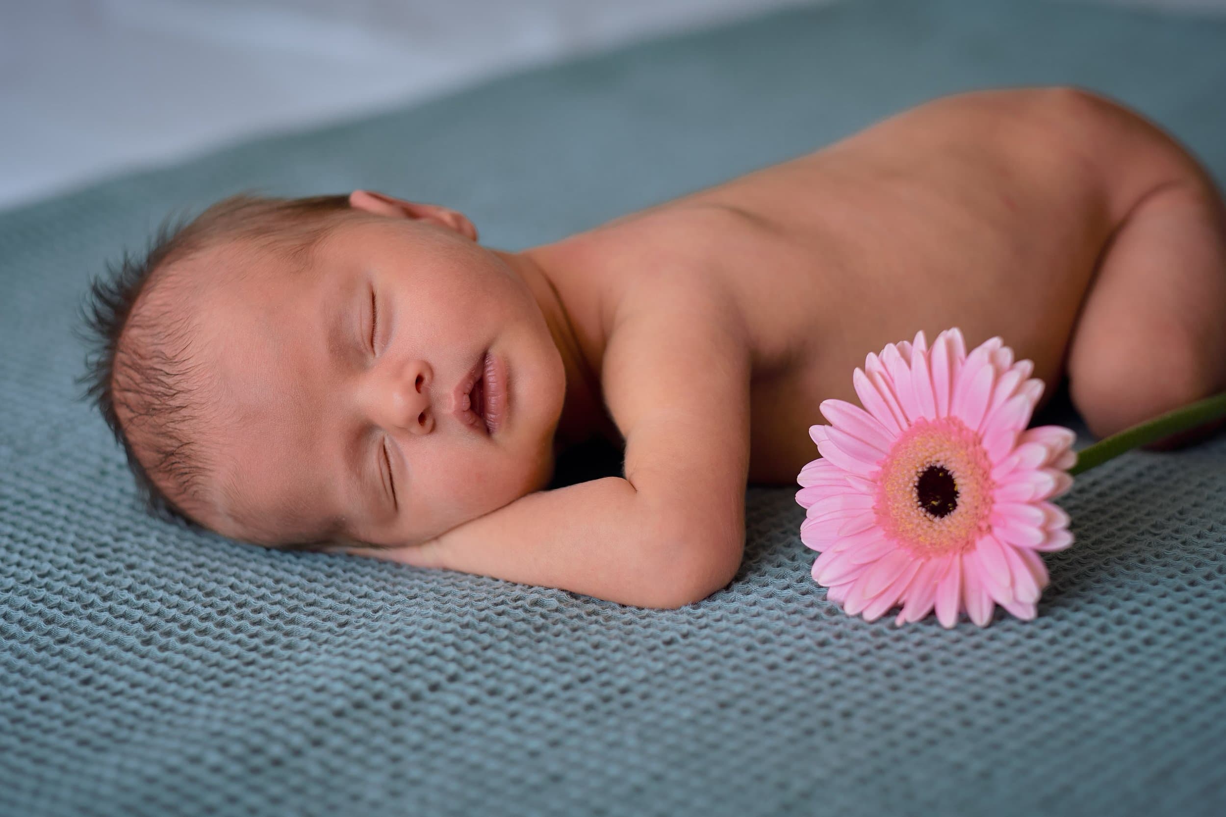 familieshoot-newborn-098.jpg