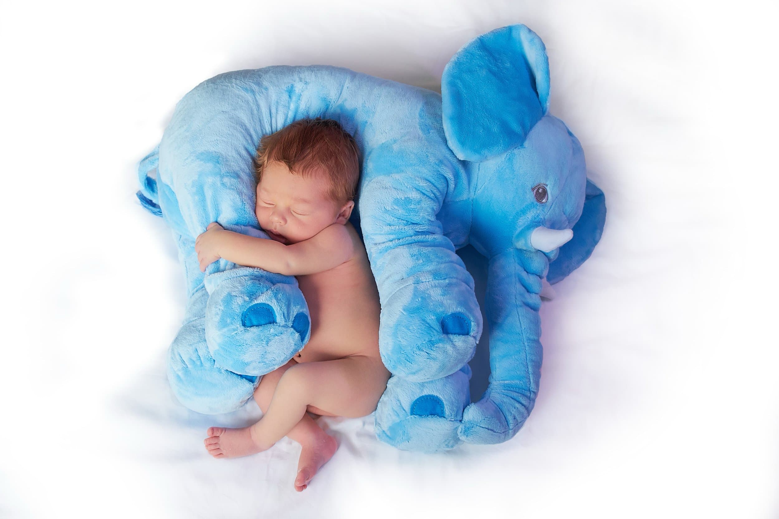 familieshoot-newborn-152.jpg